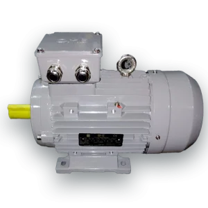 MOTORE 3KW